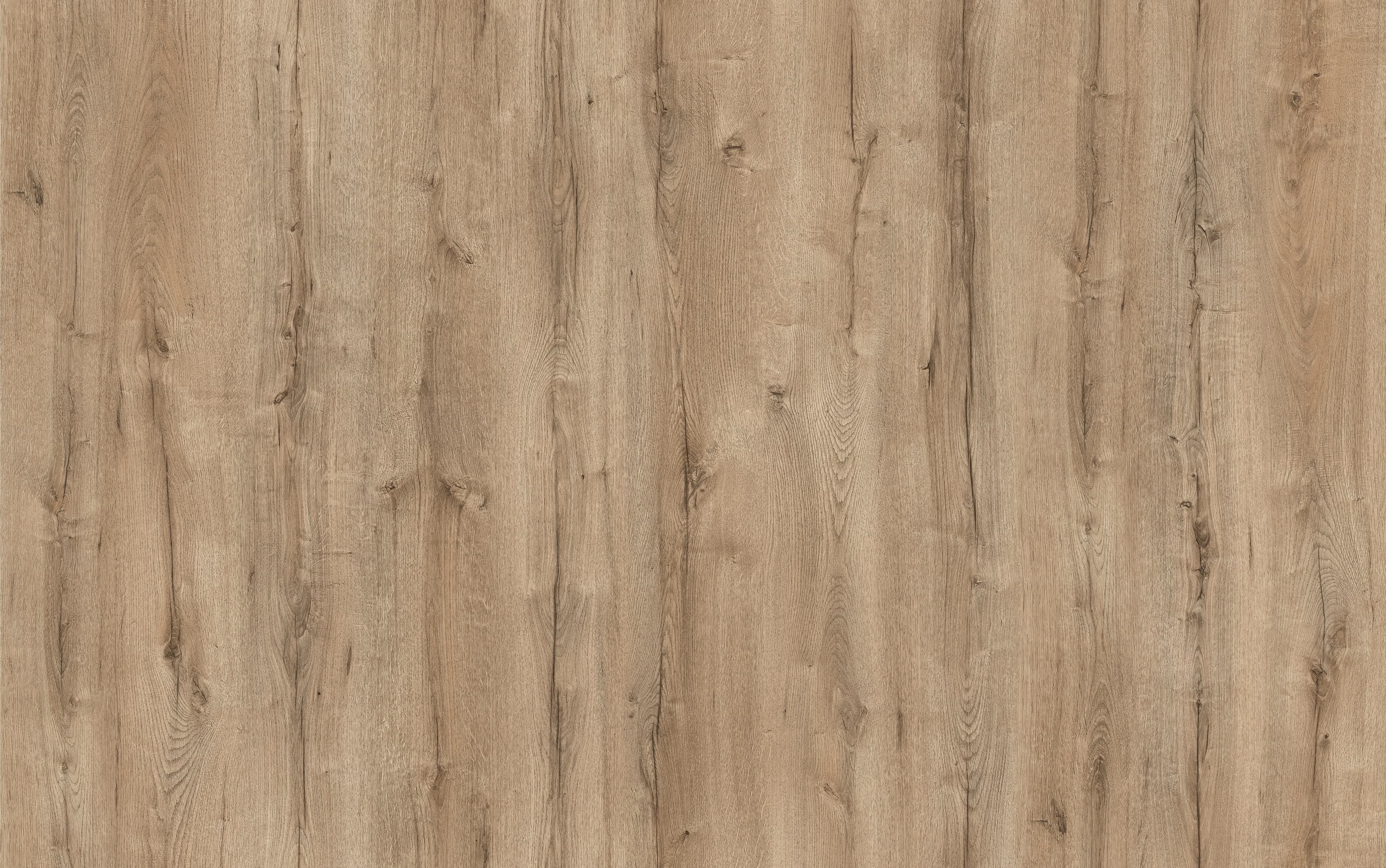 Sanctuary Oak - tablero decorativo