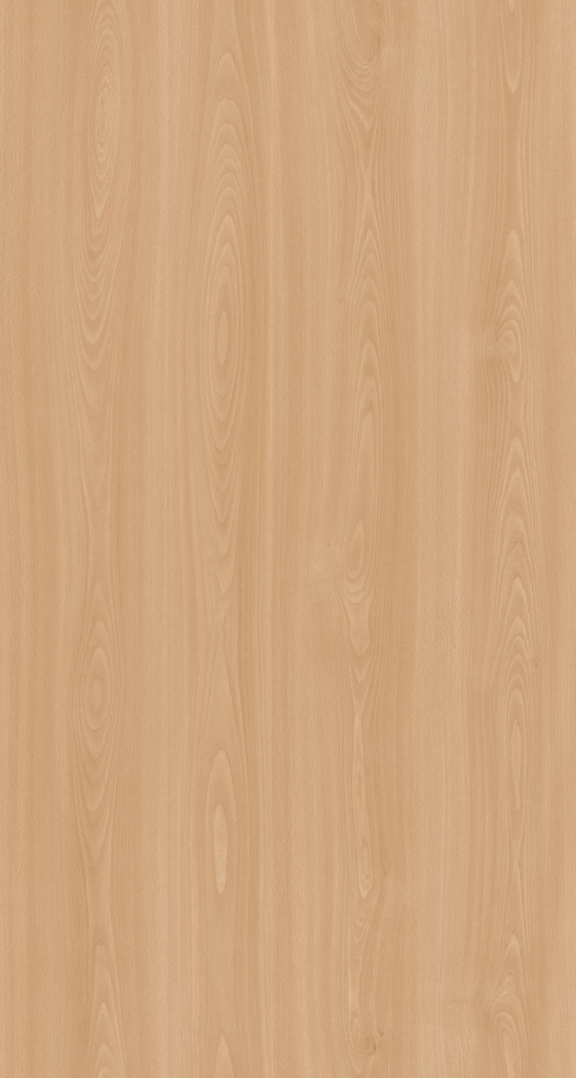 Fluvia Beech (M186), Sonae Arauco - tablero decorativo